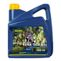 Putoline 10W40 Oil 1L